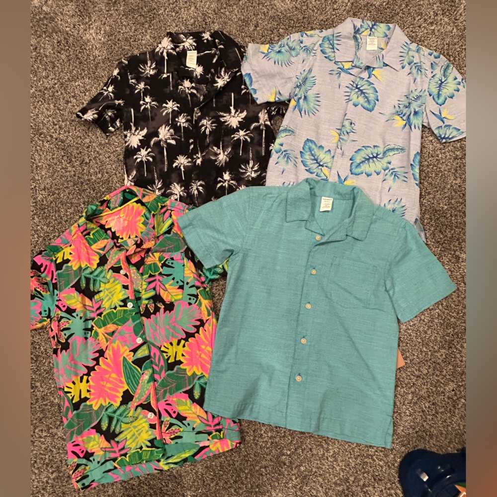 4 Little Boys Collared Shirts Bundle- new